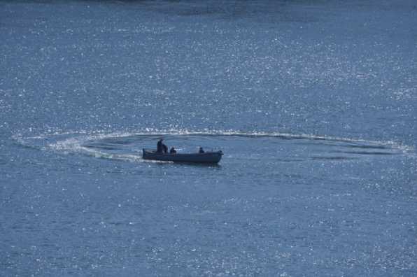 27 May 2020 - 10-40-03 
The Navy is going round in circles.
-------------------------------
BRNC whaler boat.